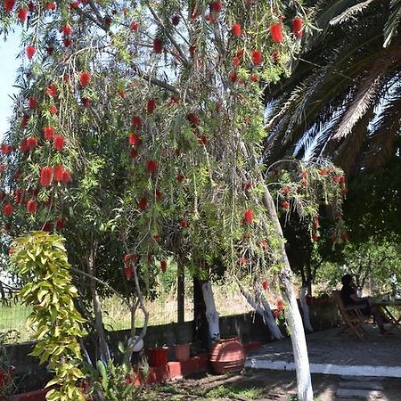 House Souzanna Apartment Toroni Exterior photo