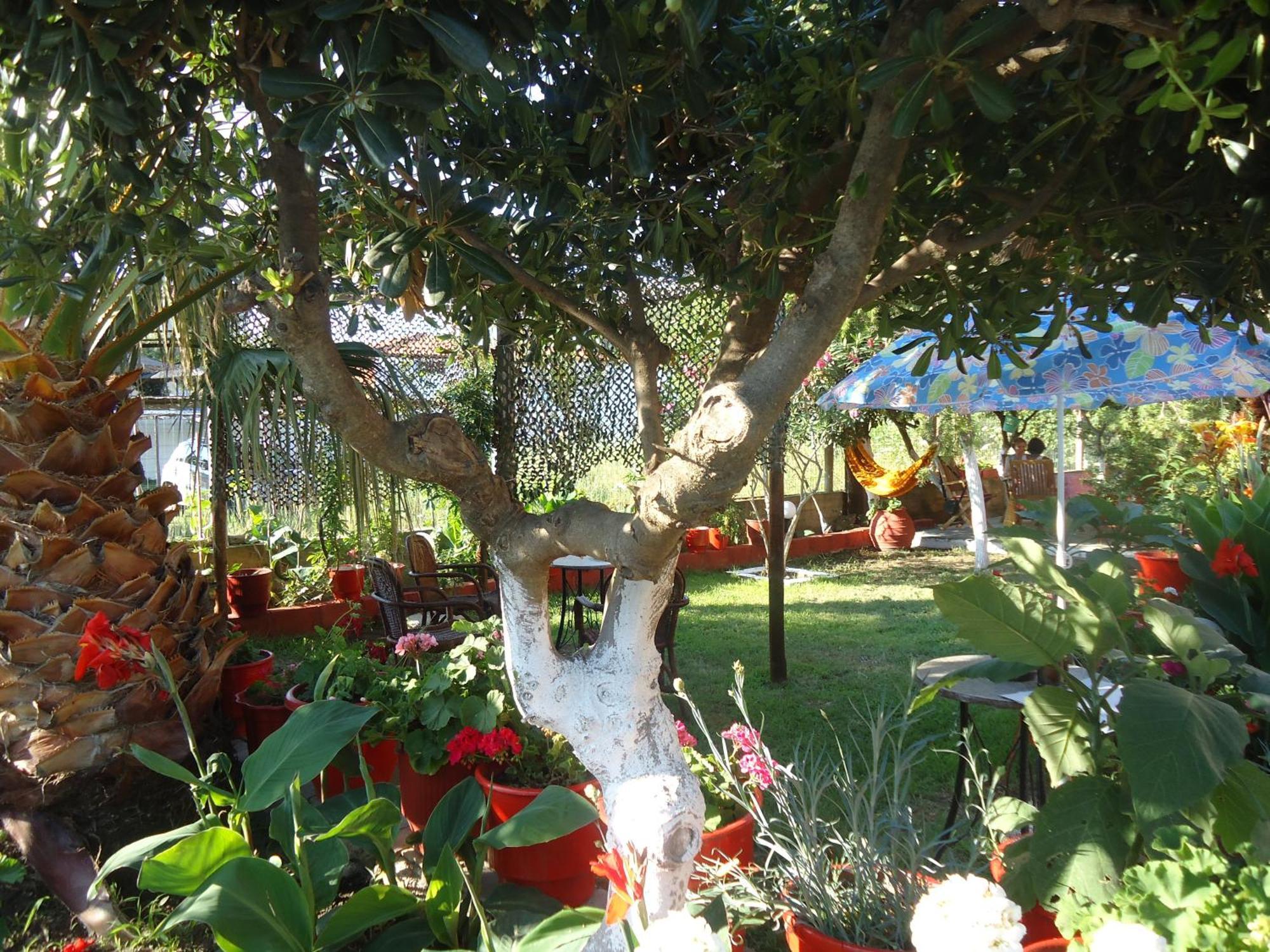House Souzanna Apartment Toroni Exterior photo